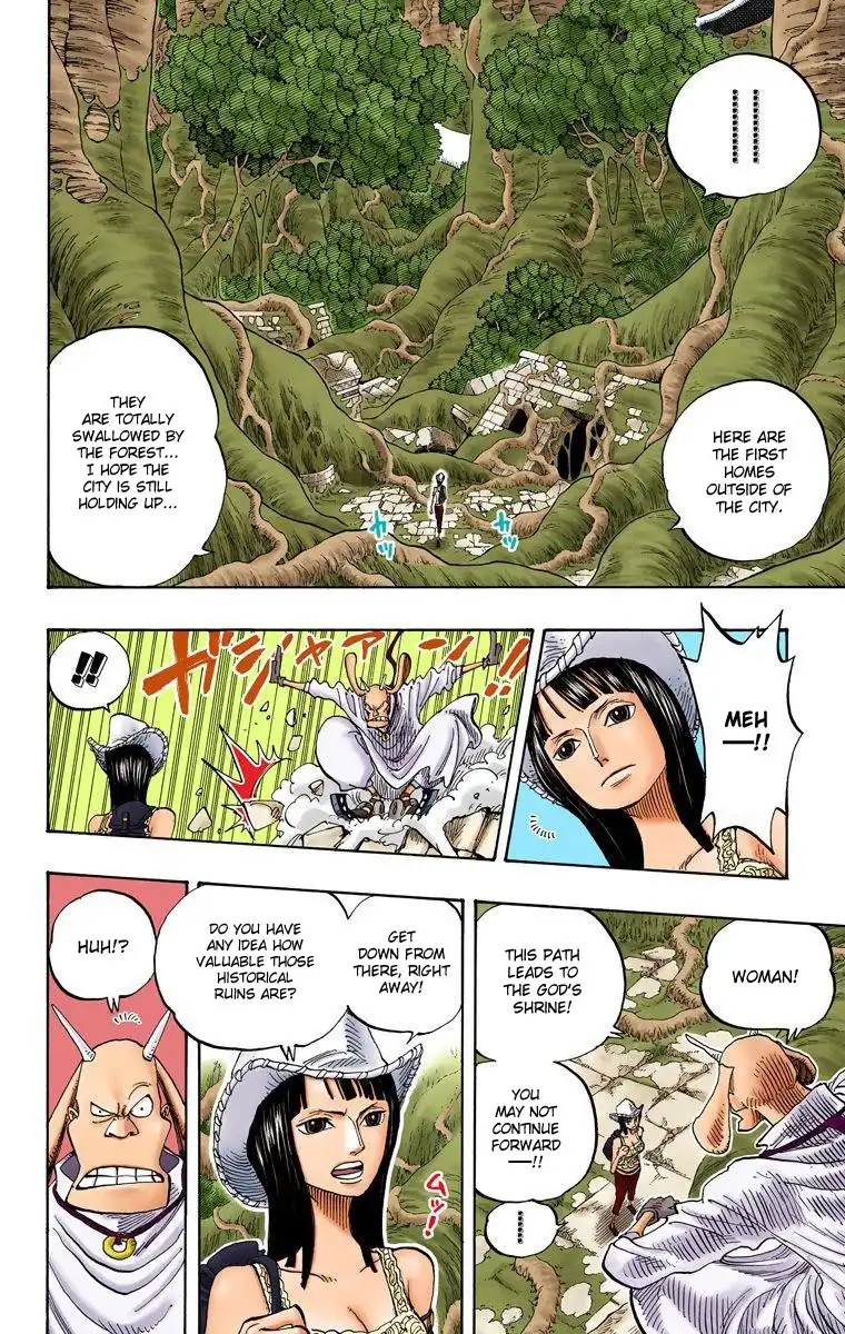 One Piece - Digital Colored Comics Chapter 258 9